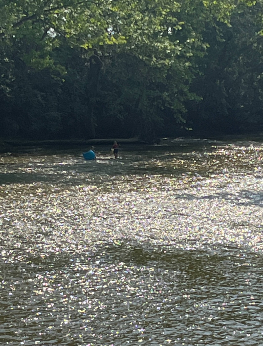 Guests wading in the creek near the cabin