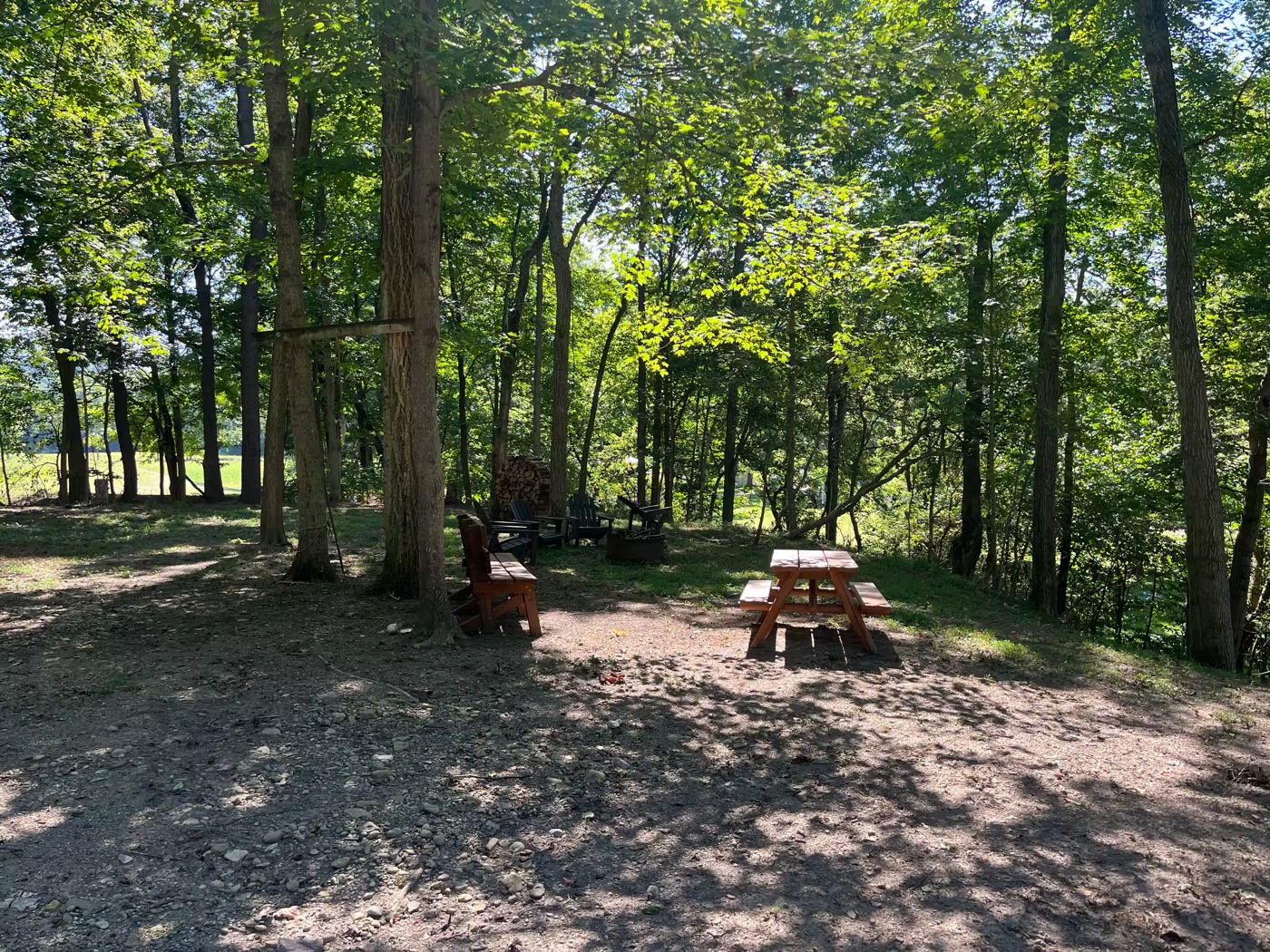 Firepit clearing in the woods near the cabin