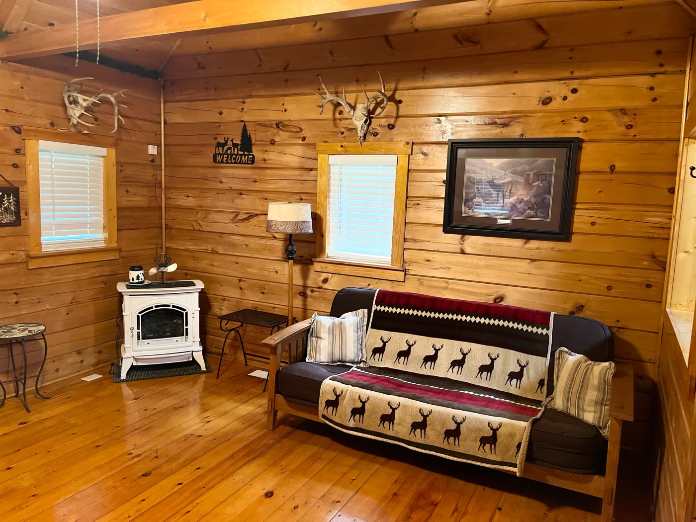 Living room with cast iron propane stove and deer antler decor